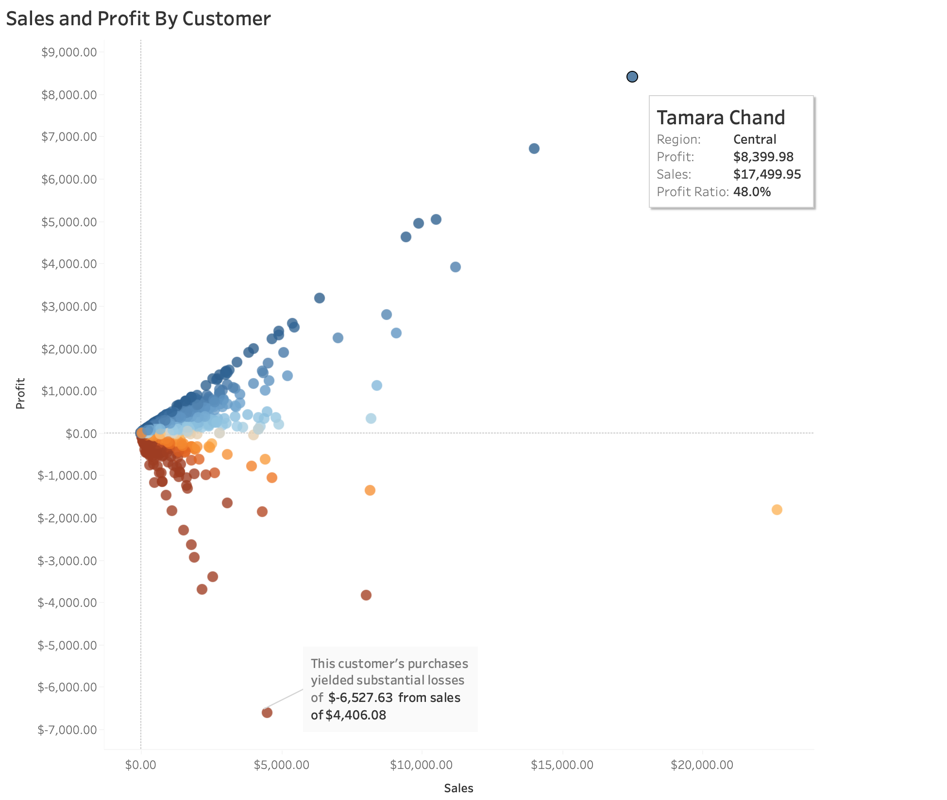 Sales vs. Profit Scatter Plot by Customer